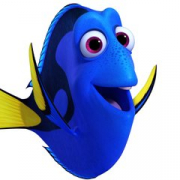 Dori23