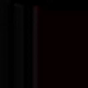 fiercecoupl3