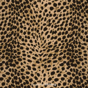 lafemmeserval
