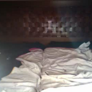 hollandirtybitchdenia