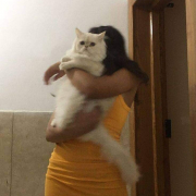 mimitaa1