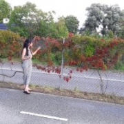 Evneet27_Saavu