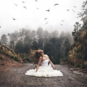 lexy-lore