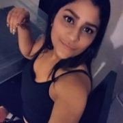 stefa_hotse