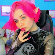 EviElfi
