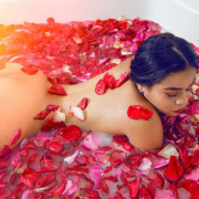 dalia_hamdi
