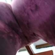 abrilleo