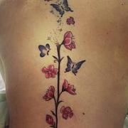 mariposalibre0