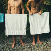 brauliothandlesdertth