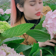 winyy_luce