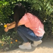 Avantika_
